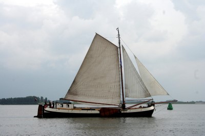 Schavuit